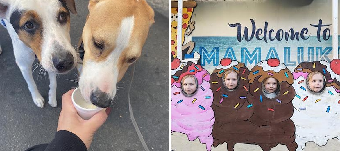 Mamalukes Pizza & Ice Cream
